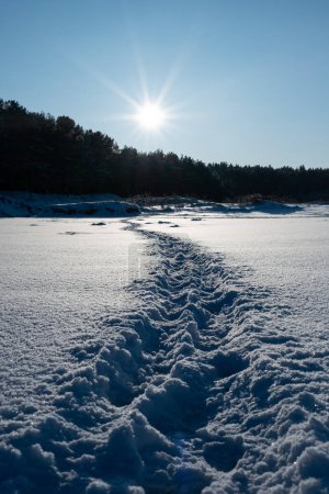Téléchargez les photos : Traces de vagabonds ornés de l'étreinte de l'hiver, rayonnant à l'heure dorée. - en image libre de droit