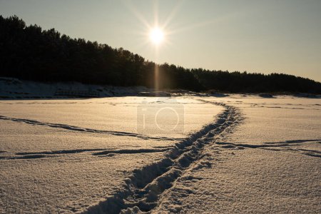 Téléchargez les photos : Le sentier battu raconte des voyages à travers la beauté tranquille du crépuscule de l'hiver. - en image libre de droit
