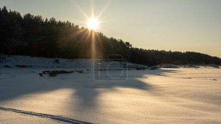 Téléchargez les photos : Un sentier enneigé brille doucement dans l'étreinte de la soirée dorée de l'hiver - en image libre de droit