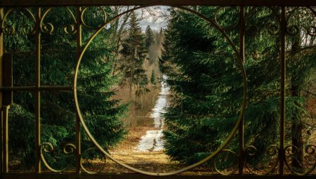 Hinter dem Metalltor schlängelt sich ein ruhiger Pfad durch den majestätischen Tannenwald des Birinu Pils Parks, der mit Versprechungen von Ruhe und Entdeckung lockt..