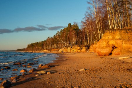 Amidst the tranquil beauty of Veczemju Klintis, Latvija, the golden hour of sunset bathes the rocky beach in a warm glow, offering a moment of serenity and reflection