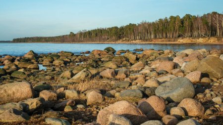 Die Küstenfelsen von Veczemju Klintis erwachen mit den Farben des Sonnenuntergangs zum Leben und weben einen faszinierenden Farbteppich vor dem Hintergrund der Ostsee