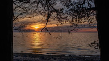 As the sun dips below the horizon, Veczemju Klintis beach is bathed in a golden glow, casting a serene and enchanting ambiance over the Baltic Sea shoreline