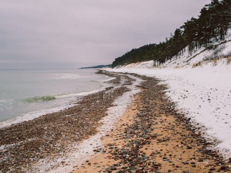 Centinelas silenciosos custodiando la costa congelada.