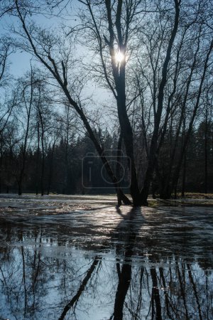 En medio de la tranquila belleza de Cesis, Letonia, el desastre golpea mientras el río Gauja inunda la zona de acampada, convirtiendo el paisaje sereno en un escenario de devastación