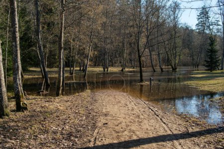 Un desastre natural se desarrolla en Cesis, Letonia, mientras las aguas de inundación del río Gauja sumergen el terreno de acampada, dejando a los campistas varados en medio de la creciente marea.