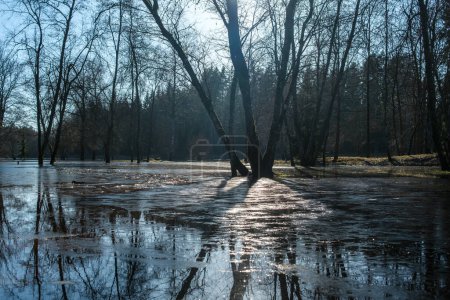In the heart of Latvian wilderness, the Gauja River's fury is unleashed, flooding the camping grounds in Cesis and leaving behind a trail of destruction.