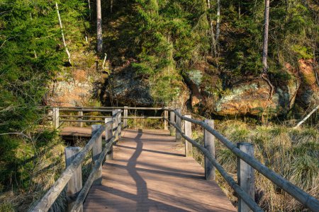 Inmitten der Ruhe von Cesis, Lettland, bietet Cirulisu Dabas Taka eine ruhige Reise durch die unberührte Schönheit der Natur.