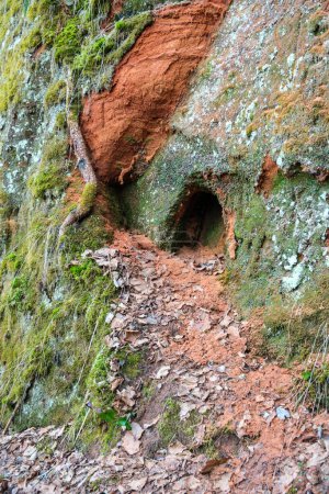 Paseando por los senderos que serpentean a través de los acantilados rojos de Cesis, los visitantes están envueltos en una sensación de tranquilidad y serenidad.