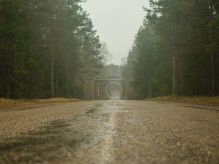 Photo for As fog blankets the forest, the road becomes a passage into a realm of enchantment, where the mundane transforms into the extraordinary with each step forward - Royalty Free Image