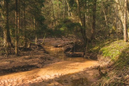Ein ruhiger Fluss schlängelt sich durch den üppigen Wald in der Nähe der Klippen von Licu-Langu in Lettland, dessen sanfter Fluss die friedliche Harmonie der Umarmung durch die Natur widerspiegelt
