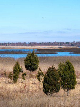 Wandern Sie durch die ruhige Schönheit des Schilfweges von Kanieris, wo jeder Schritt tiefer in die unberührte Wildnis Lettlands führt