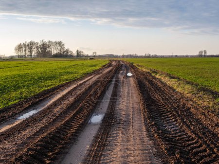 Eine schlammige Straße zwischen zwei Getreidefeldern in Lettland erzählt die Geschichte der Beharrlichkeit inmitten des rustikalen Charmes des ländlichen Lebens