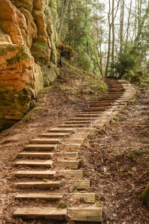Graceful and inviting, these wooden steps wind their way upward beside the majestic Licu-Langu cliffs, offering a scenic ascent into Latvia's wilderness