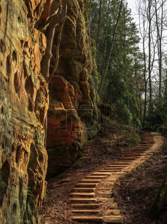 Anmutig erklimmen geschwungene Stufen das zerklüftete Gelände neben den Klippen von Licu-Langu in Lettland und bieten eine poetische Reise inmitten der Pracht der Natur.