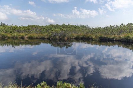 Photo for Clouds reflecting in dark swamp water of Lovrenska lakes, Slovenia - Royalty Free Image