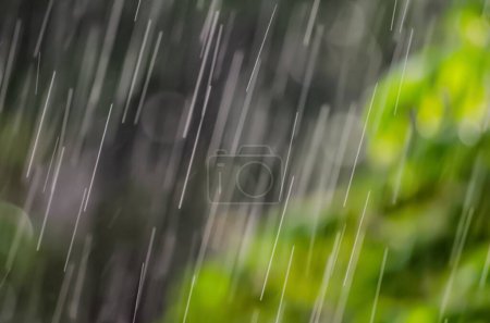 Téléchargez les photos : Fond naturel, Bottes de pluie sur le pare-brise, saison des pluies, il pleut. Avec fond vert de la nature. Forêt tropicale naturelle, Belle pluie estivale abondante. Scène forestière avec arbres verts et pluie. - en image libre de droit