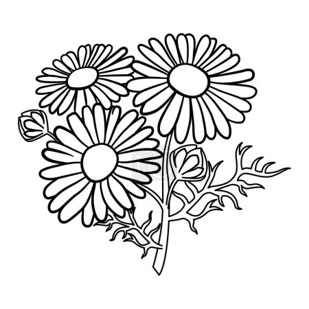 Ilustración de Flores de manzanilla para colorear páginas. Ilustración vectorial de un ramo de margaritas de campo con hojas - Imagen libre de derechos