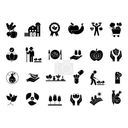 Conjunto Negro de Iconos de Agricultura Orgánica. Vector Iconos de Verduras, Frutas, Granja, Mercado Orgánico, Etiqueta Orgánica, Orgánica, Química Libre, Vegano, Bio, Cosecha y Otros