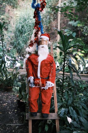 Photo for A santa claus dummy sitting on a ladder in a Garden - Royalty Free Image