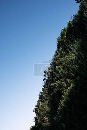 Photo for Grass covered mountain hill - Royalty Free Image