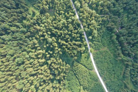 Photo for A bird's-eye view showcases a lush green forest bisected by a winding road in Austria, inviting adventure and exploration in the heart of nature. - Royalty Free Image