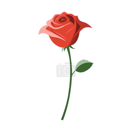 Photo for Red rose isolated on white background. Vector illustration. Flat style. - Royalty Free Image