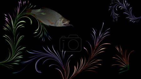 Photo for Abstract drawing on a marine theme.The roach swims between the algae.Common Rudd. Fish of the carp family.In New Zealand and Canada it is considered a nuisance fish that displaces native fish species. - Royalty Free Image