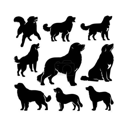 Conjunto de iconos de vectores sólidos de silueta de perro, razas, canino, perro, sabueso, cachorro, perro montés, mascota, perrito.