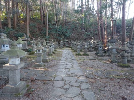 Ancient Japanese cemetery surrounded by big trees