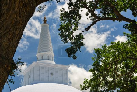 Photo for Ruwanwelisaya maha stupa, buddhist monument seen through trees, Anuradhapura, Sri Lanka - Royalty Free Image