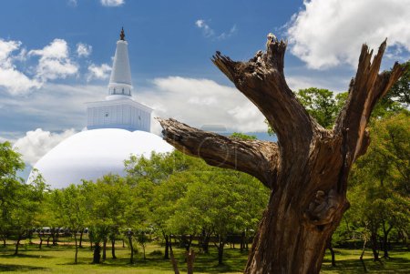 Photo for Ruwanwelisaya maha stupa, buddhist monument, Anuradhapura, Sri Lanka, Sri Lanka - Royalty Free Image