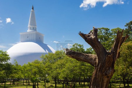 Téléchargez les photos : Ruwanwelisaya maha stupa, monument bouddhiste, Anuradhapura, Sri Lanka - en image libre de droit