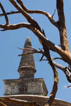 Photo for Rankoth Vehera stupa, Polonnaruwa, Sri Lanka - Royalty Free Image