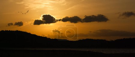 Téléchargez les photos : Un troupeau d'oiseaux survolant le lac Giritale au coucher du soleil - en image libre de droit