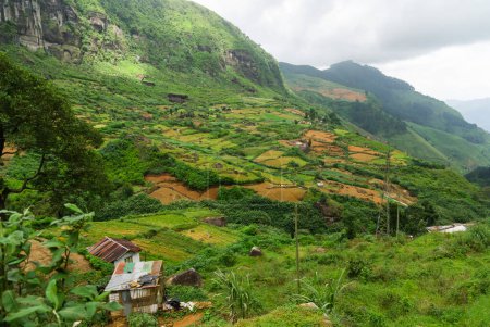 Foto de Valle con campos de hortalizas en montañas tropicales - Imagen libre de derechos