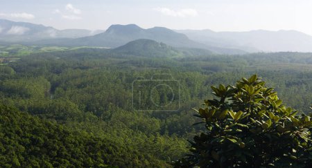 Téléchargez les photos : Paysage montagneux tropical en milieu rural Sri Lanka - en image libre de droit