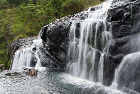 Téléchargez les photos : Baker's Falls, parc national des plaines Horton, Sri Lanka - en image libre de droit