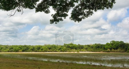 Foto de Lago en el parque nacional Wilpattu, Sri Lanka - Imagen libre de derechos