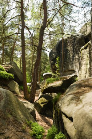 Foto de Grandes rocas y formaciones rocosas en Cesky raj aka Bohemian Paradise - Imagen libre de derechos