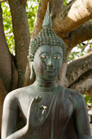 Photo for Bronze Buddha statue with sacred bo tree in background - Royalty Free Image