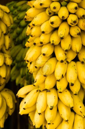 Foto de Primer plano de un ramo de sabrosos plátanos maduros - Imagen libre de derechos