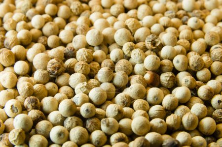 Foto de Primer plano de granos enteros de pimienta blanca en un montón - Imagen libre de derechos