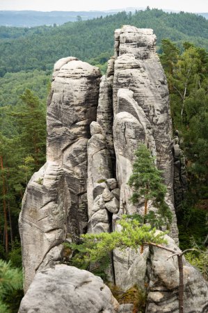 Foto de Formaciones de piedra arenisca natural en Prachov Rocks rock town, Bohemian paradise, República Checa - Imagen libre de derechos