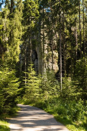 Foto de Sendero a través del bosque con formaciones rocosas monumentales, rocas Adrspach, República Checa - Imagen libre de derechos