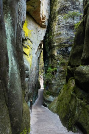 Foto de Sendero a través de formaciones rocosas monumentales en rocas de Adrspach, República Checa - Imagen libre de derechos