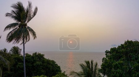 Téléchargez les photos : Vue aérienne le soleil descendant à l'horizon au coucher du soleil doux au-dessus des cocotiers - en image libre de droit