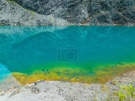Foto de Hermoso reflejo en estanque verde esmeralda - Imagen libre de derechos
