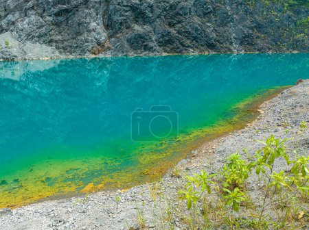 Foto de Hermoso reflejo en estanque verde esmeralda - Imagen libre de derechos