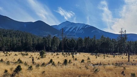 Photo for This photo showcases the scenic view of Mount Humphreys, the highest peak in Arizona. The mountain is covered in snow and surrounded by a forest of pine trees. - Royalty Free Image